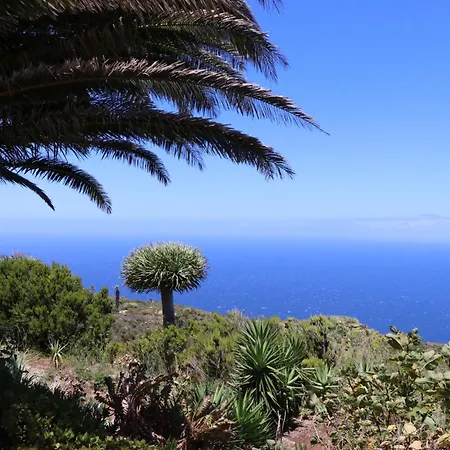 El Cortijo Semesterbostad